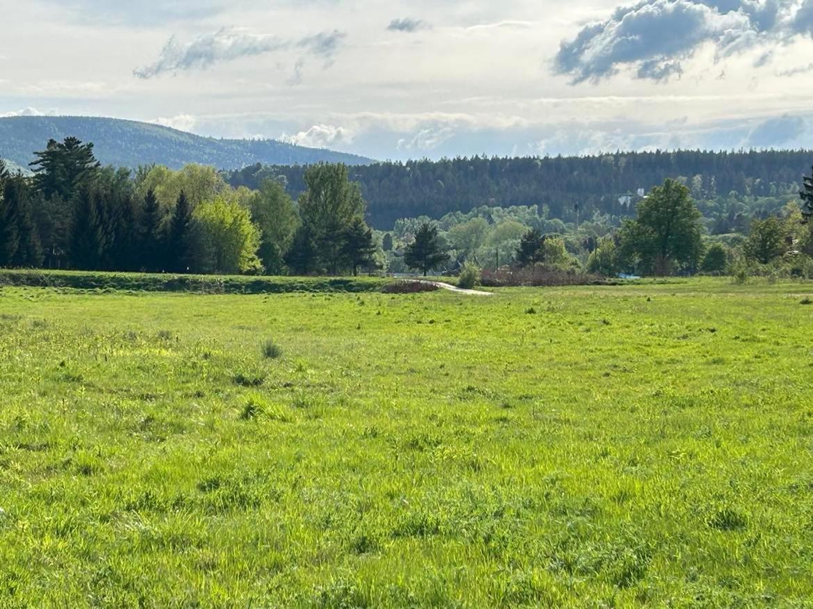 Lesny Park Polanica Apartment Szczytna Bagian luar foto