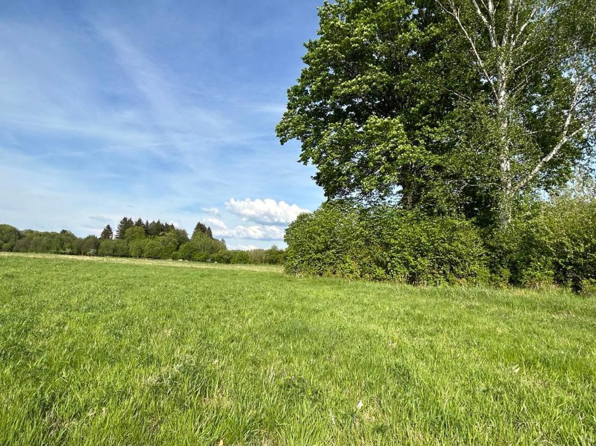 Lesny Park Polanica Apartment Szczytna Bagian luar foto