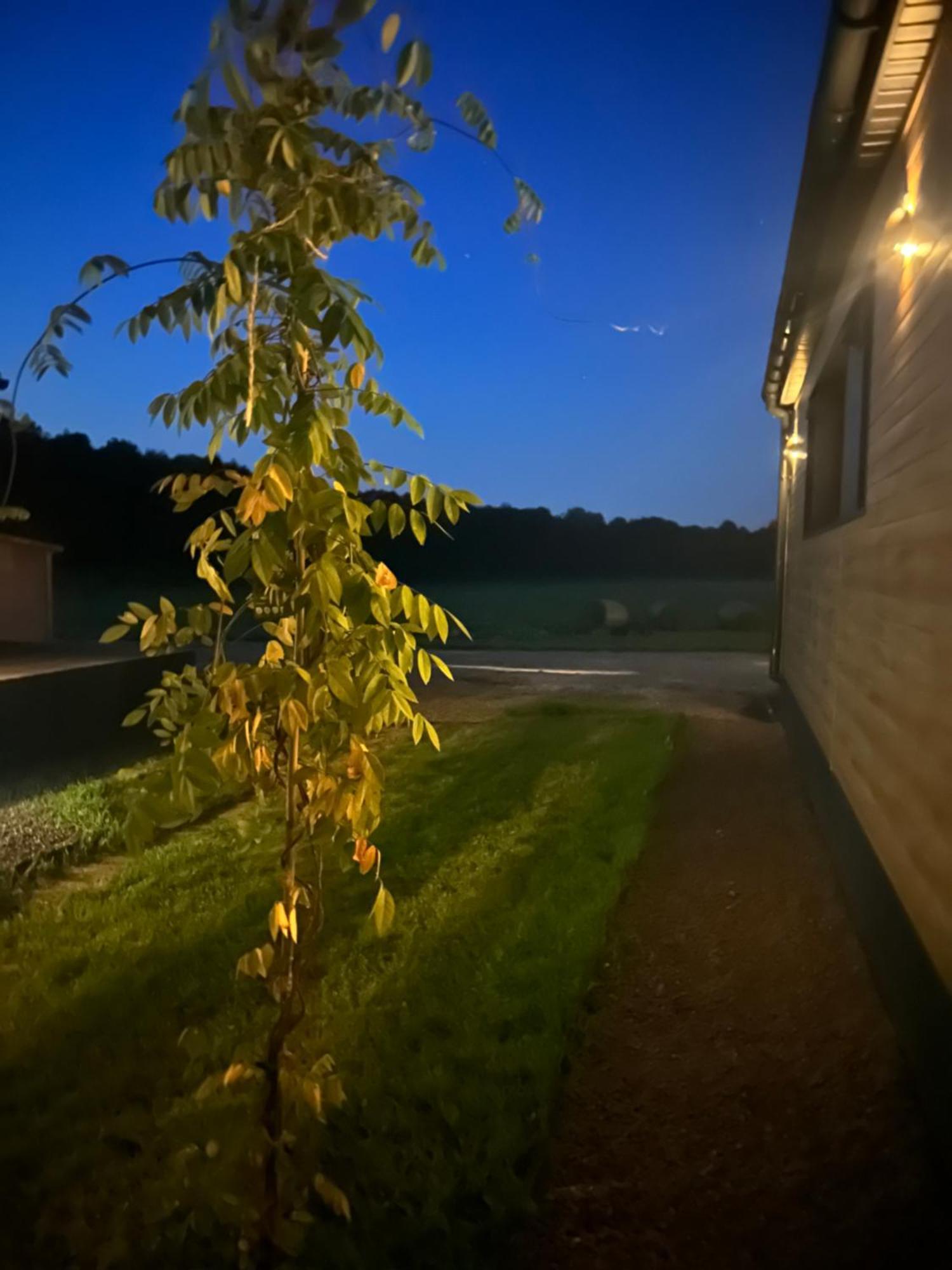 Lesny Park Polanica Apartment Szczytna Bagian luar foto