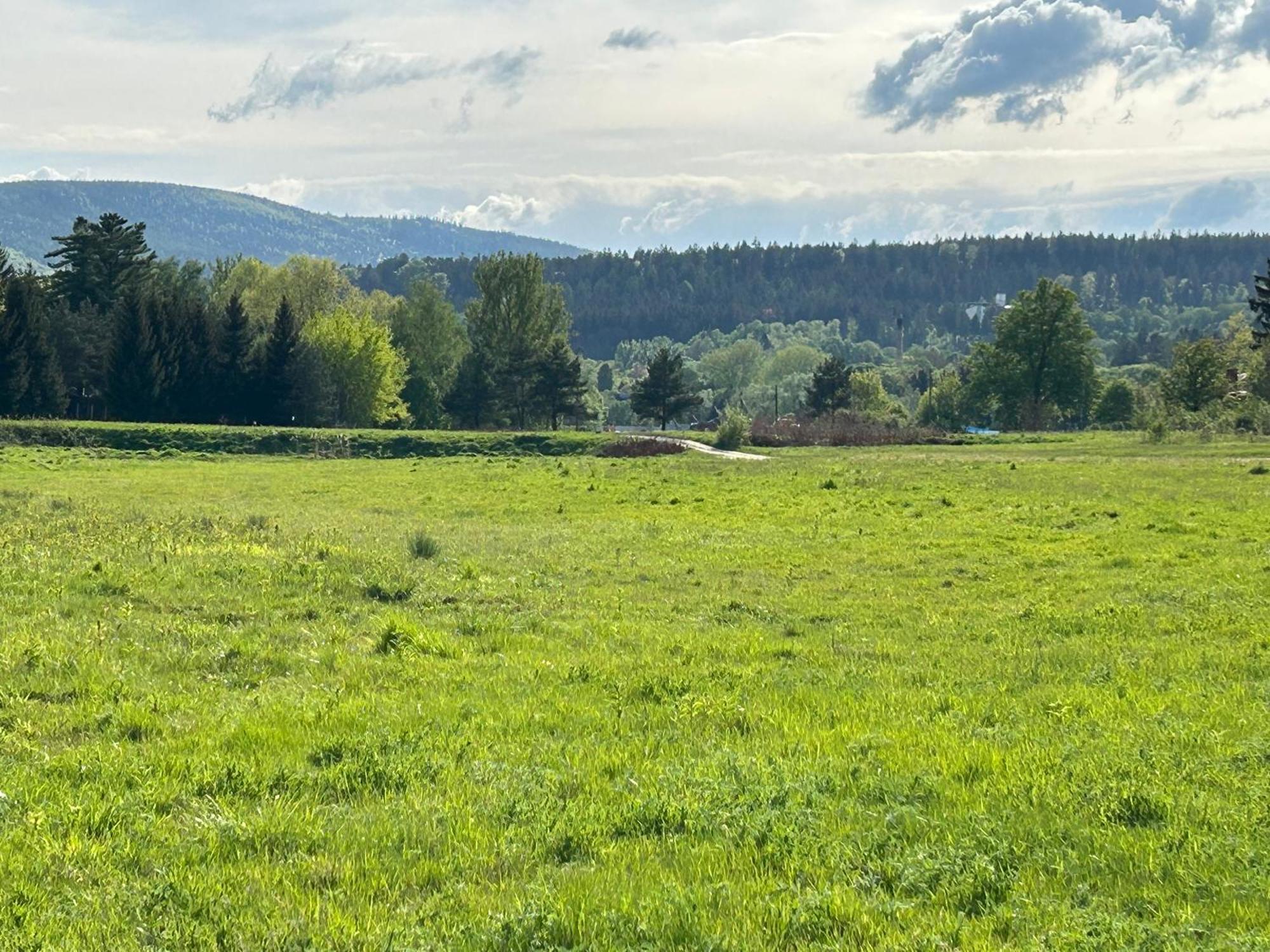 Lesny Park Polanica Apartment Szczytna Bagian luar foto