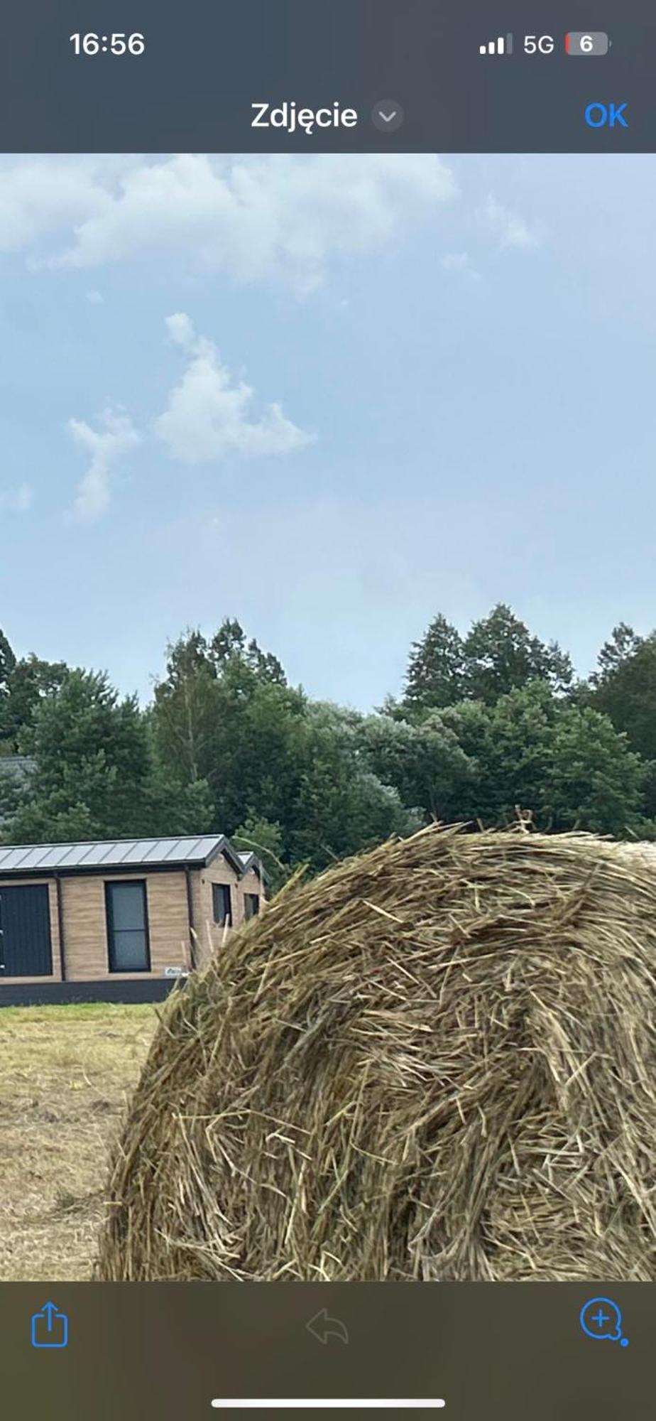 Lesny Park Polanica Apartment Szczytna Bagian luar foto