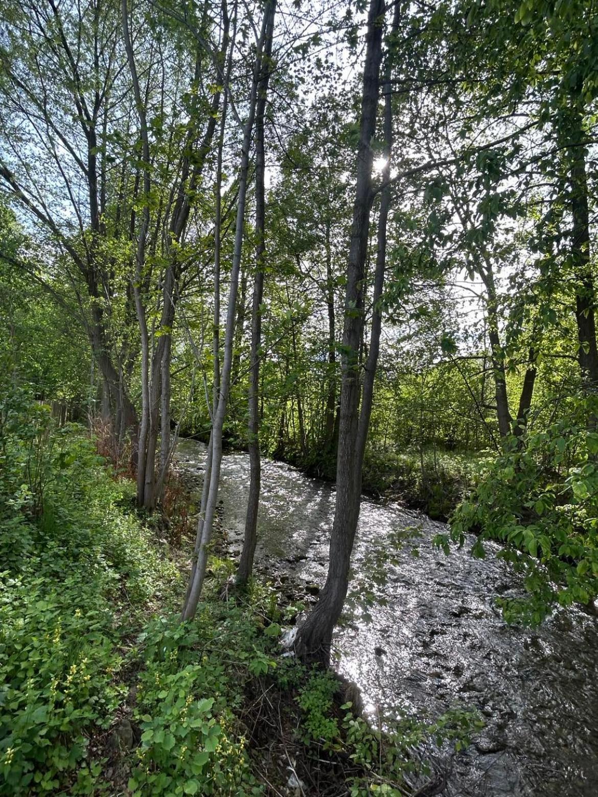 Lesny Park Polanica Apartment Szczytna Bagian luar foto